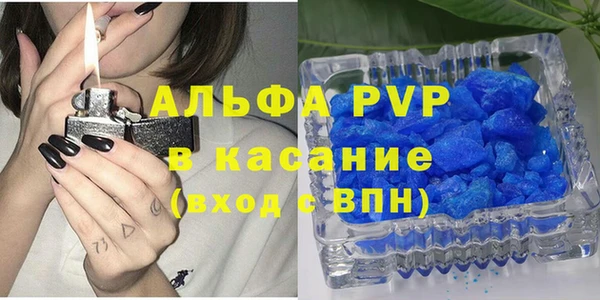стафф Арсеньев
