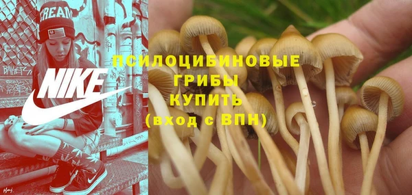 стафф Арсеньев