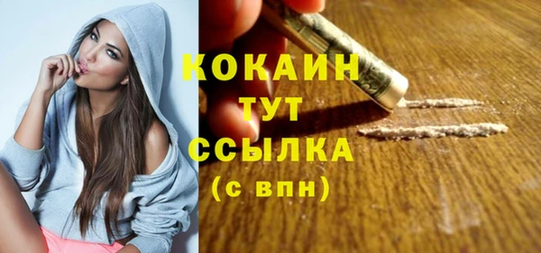 стафф Арсеньев