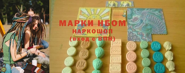 гашик Алзамай