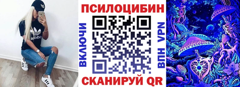 блэк спрут онион купить закладку Лянтор Галлюциногенные грибы Psilocybe